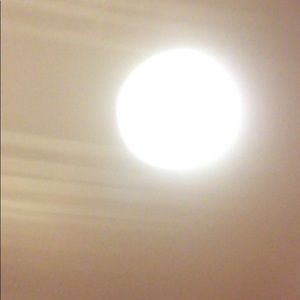 Meet your Posher, Daniella